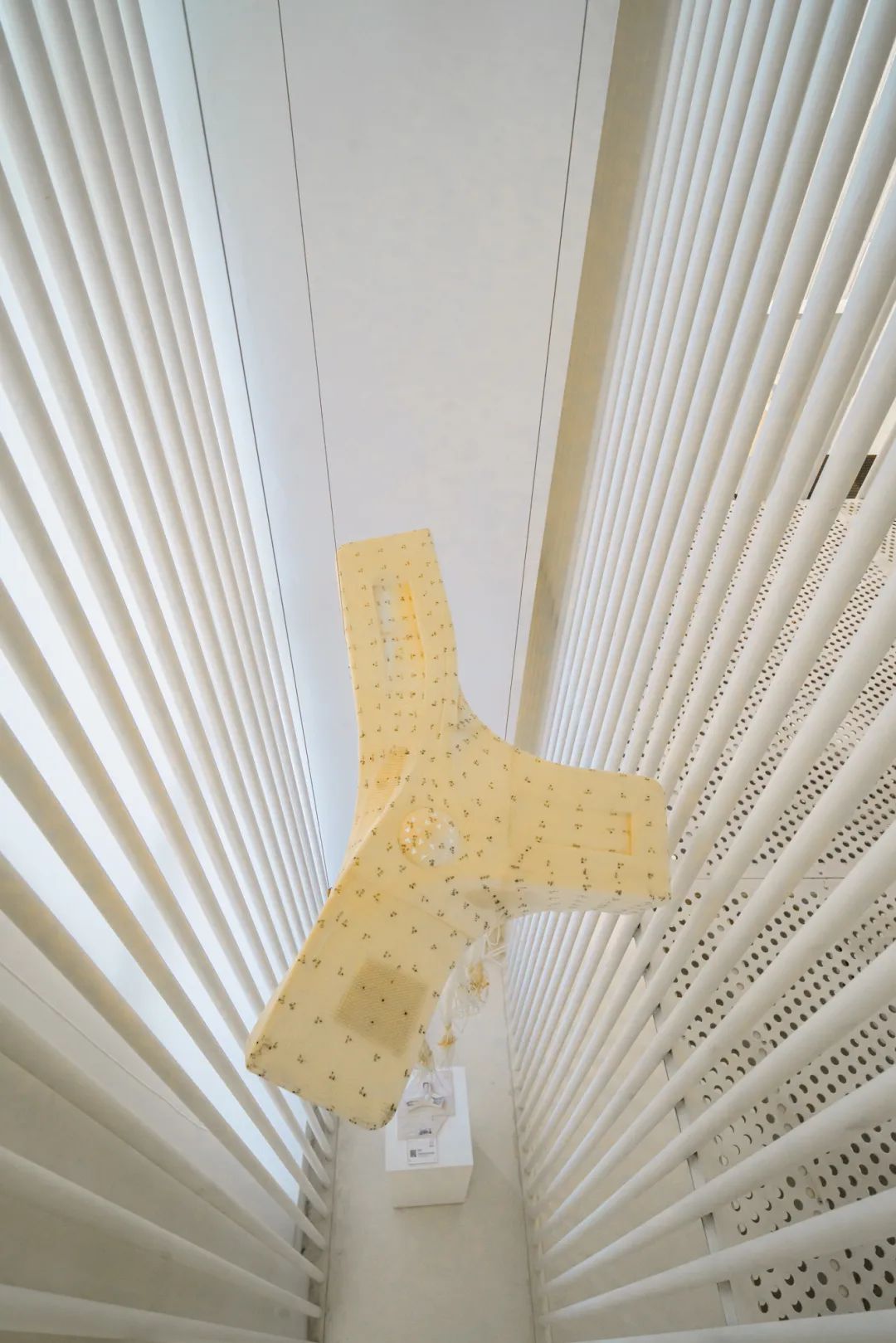 魔都自然博物馆,魔都的博物馆真的很有看头