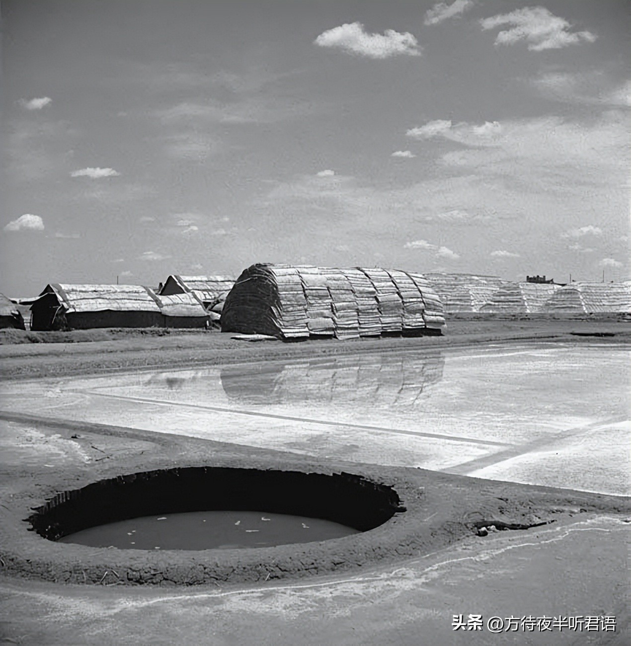 殊异之城：金石声穿过岁月的青岛留影