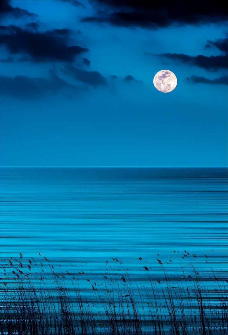 《月夜》古诗词鉴赏6篇,月夜的诗词有哪些表达了什么情感