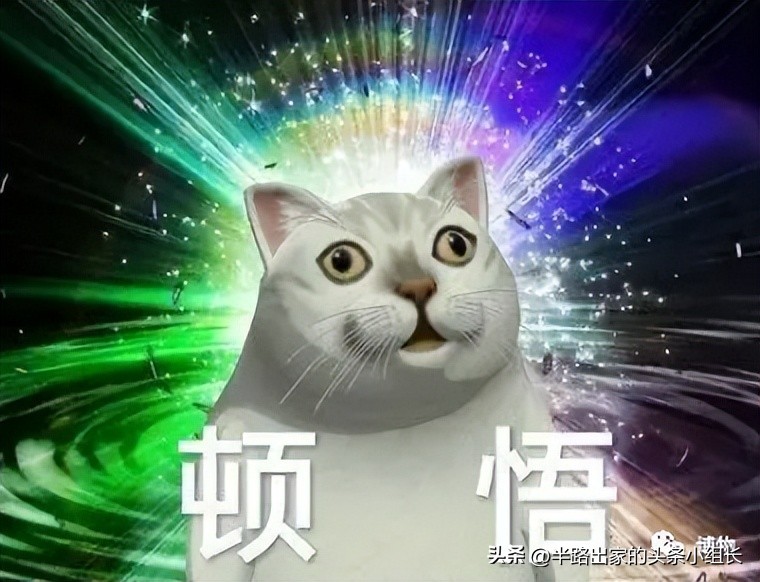 基围虾是不是基围虾,基围虾是直的吗