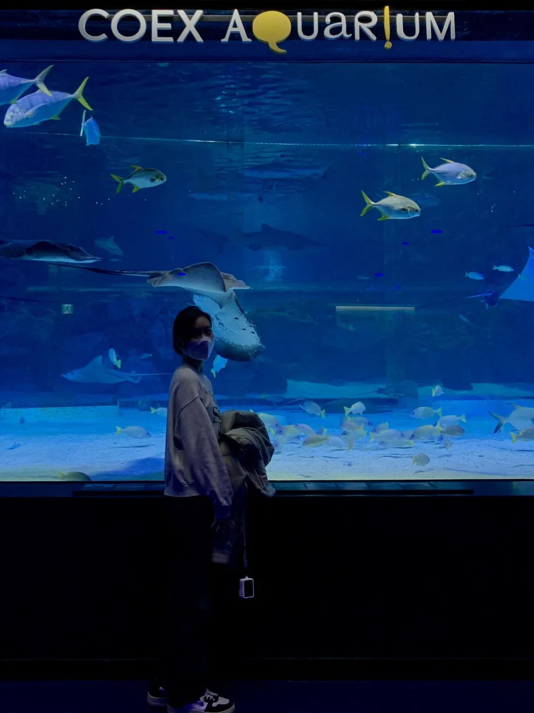 来首尔散步好地方,来首尔去哪玩