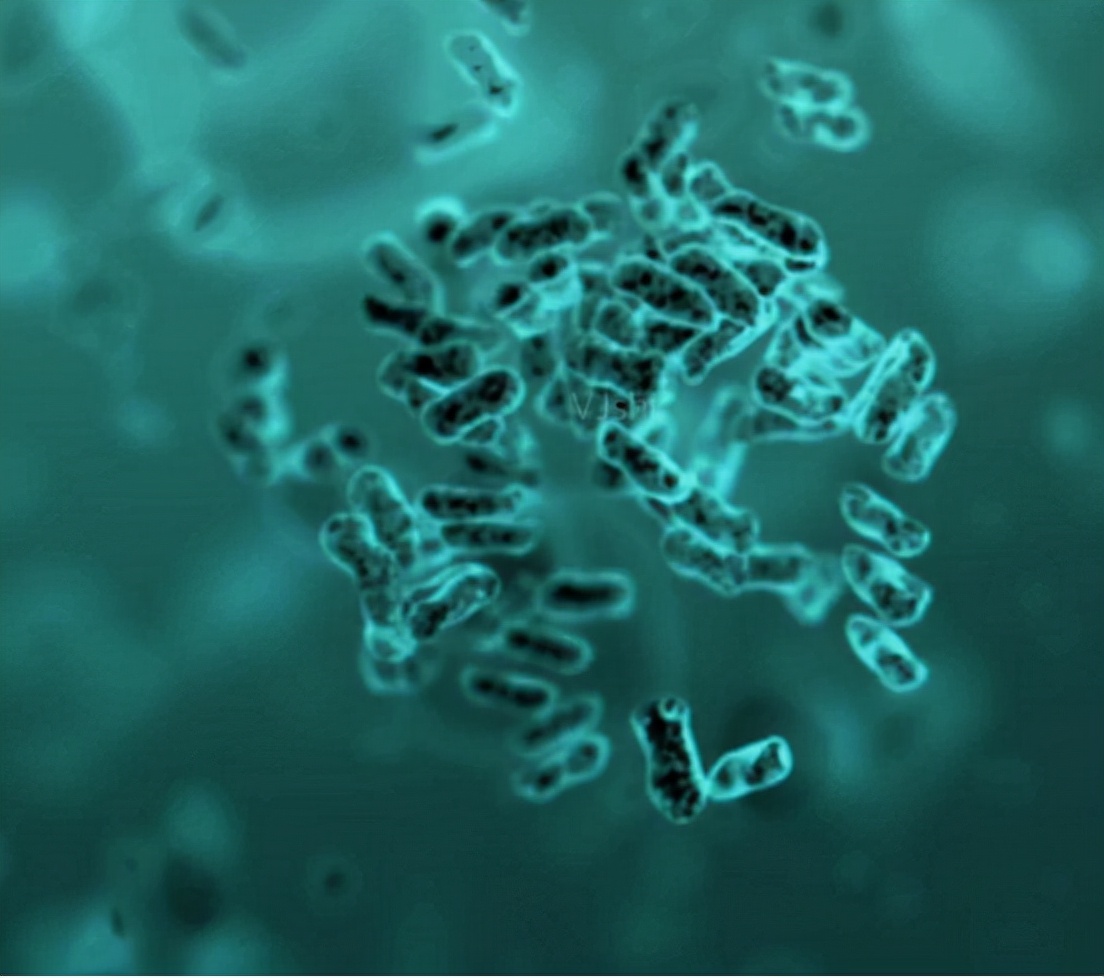 使用头孢时的注意事项需牢记,服用头孢的注意事项有哪些