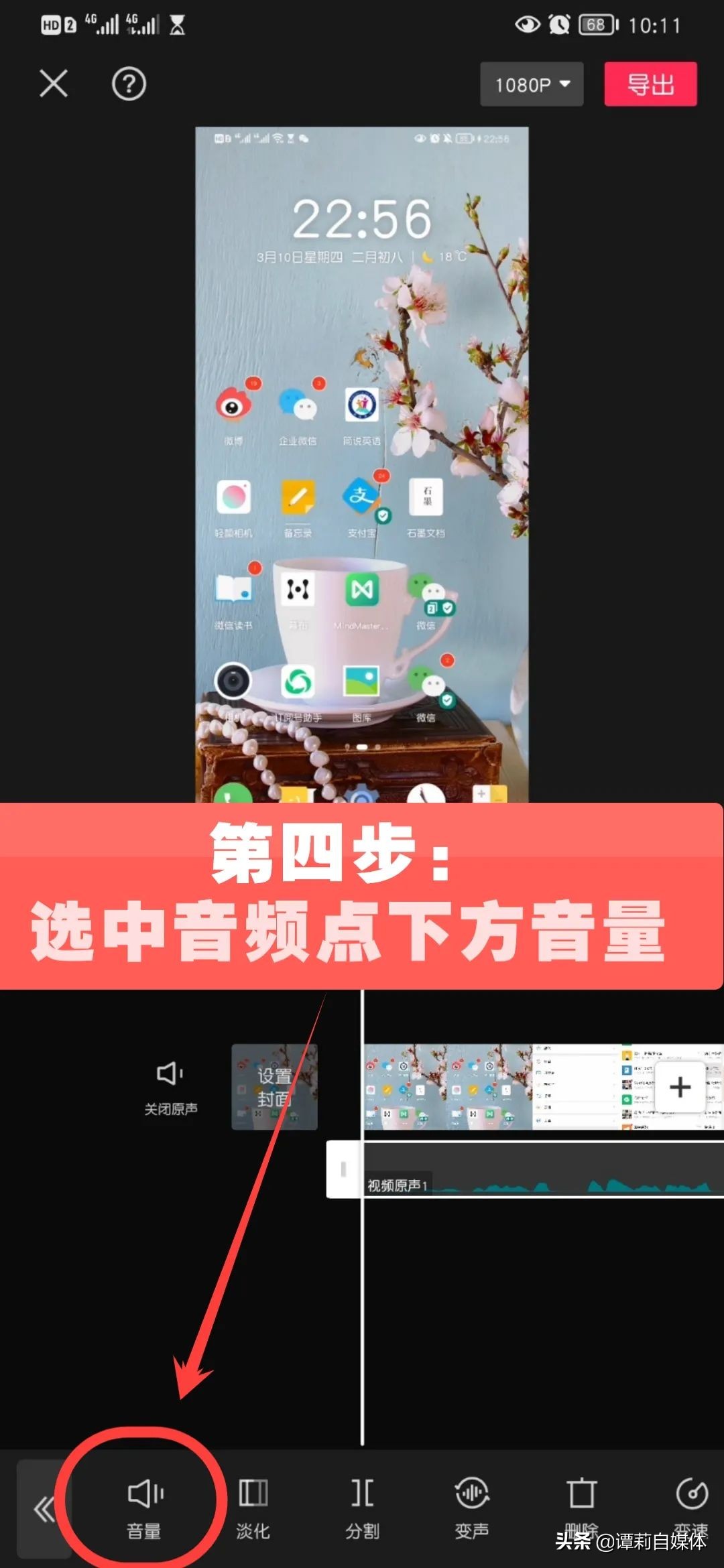 手机录屏视频剪辑怎么降噪,谭莉所有的视频