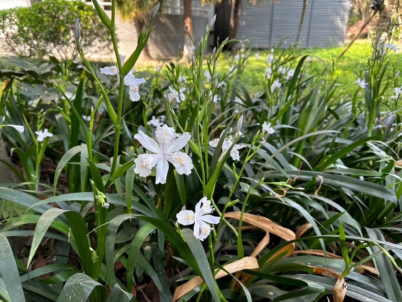 体坛十大美女颜值天花板,颜值巅峰的体坛女神