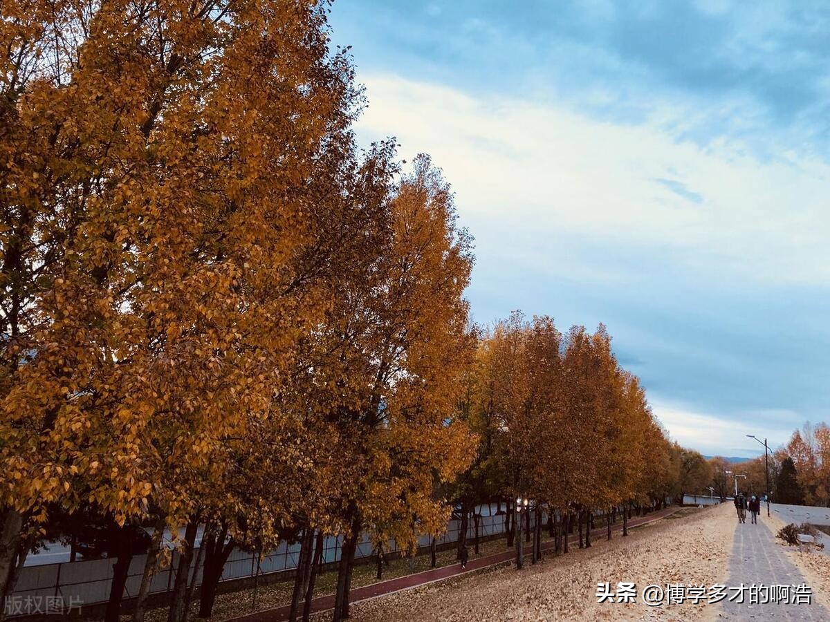 怎样在头条上快速涨粉到100,头条新手第一天涨粉多少个正常