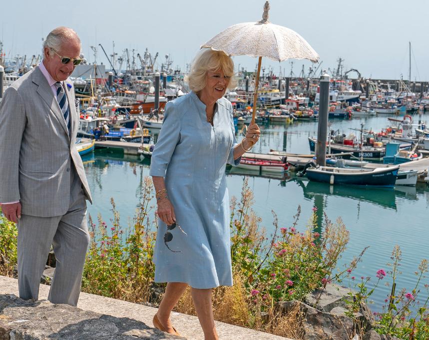 70岁卡米拉,75岁的卡米拉气场全开如女王