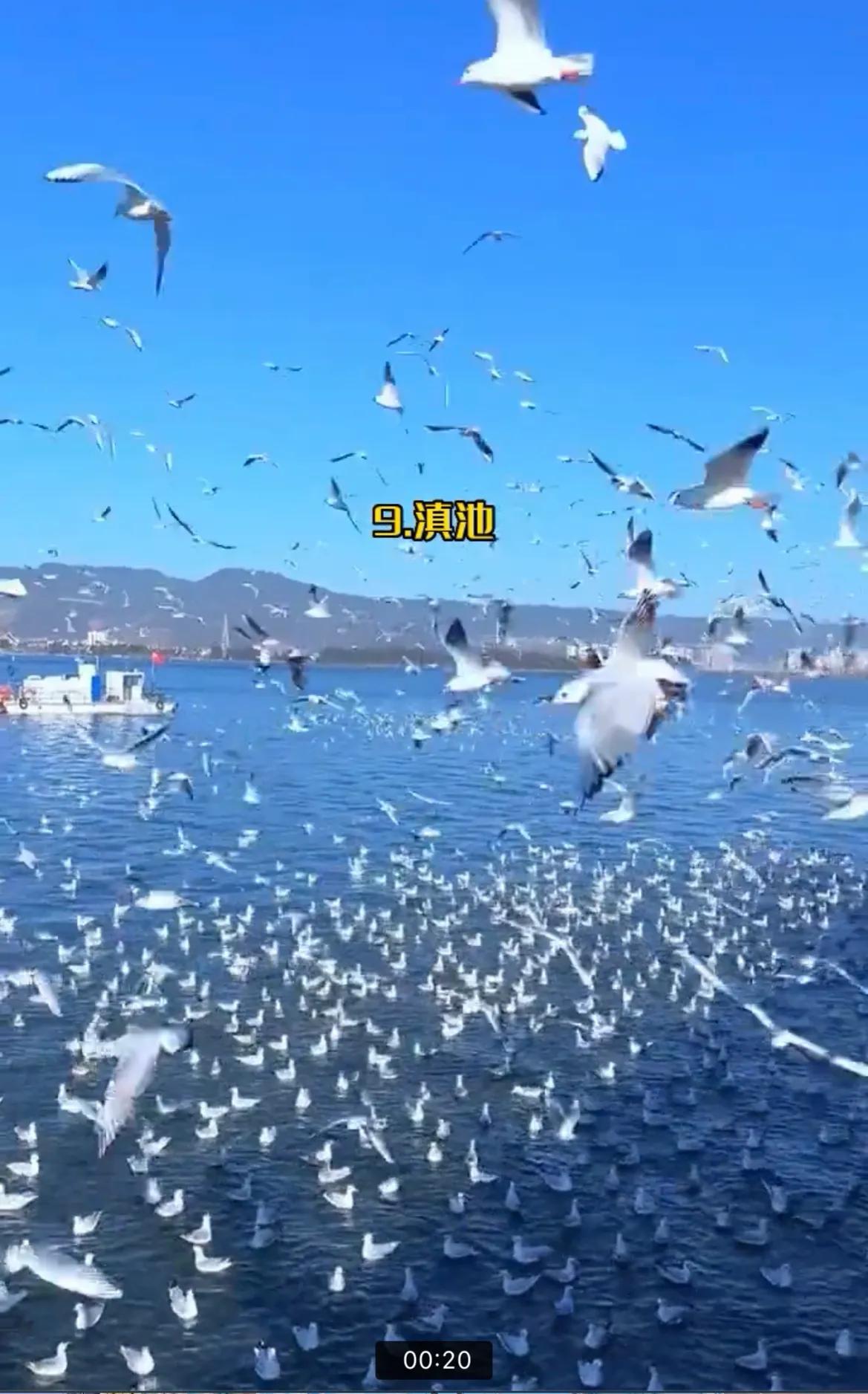 三月份云南有什么好玩的地方,云南冬季好玩的地方推荐