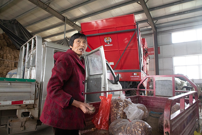 返乡创业青年种植大户,返乡种植养殖创业青年