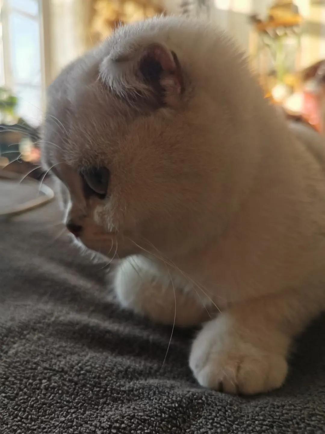 人生如棋走好属于你的那一步,人生如棋局每走一步不许回头