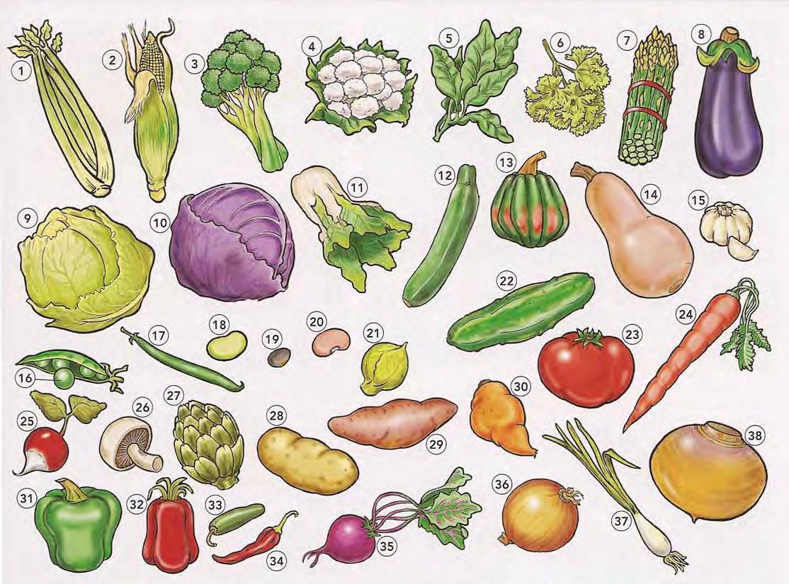 我们买了蔬菜和水果用英语怎么说,各种食物的英文词汇及用法