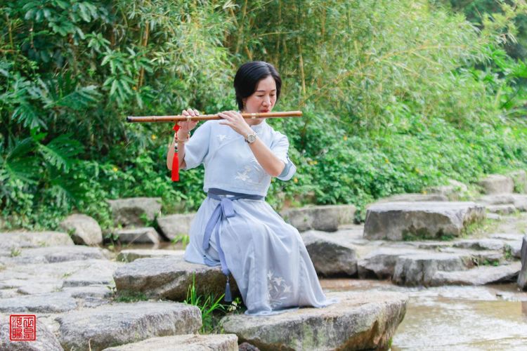 各领风骚全诗,各领风骚是哪首诗