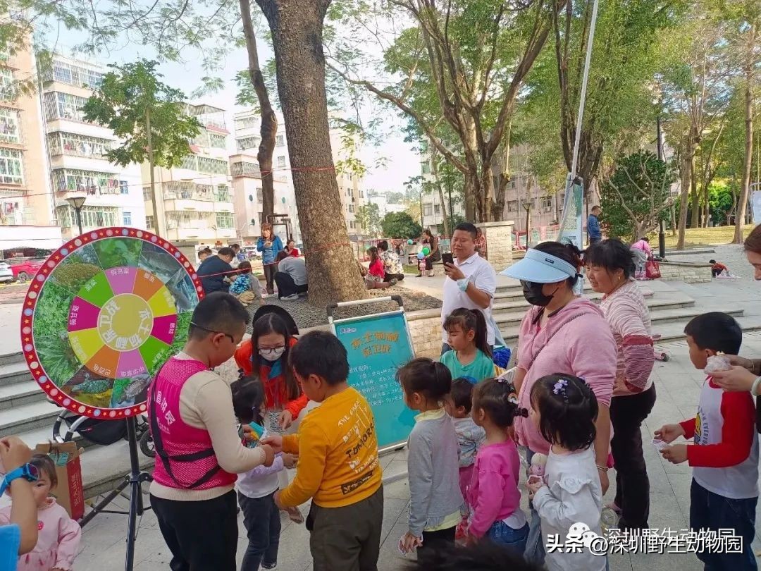 穿山甲穿山乙,穿山穿山甲真的能穿山吗
