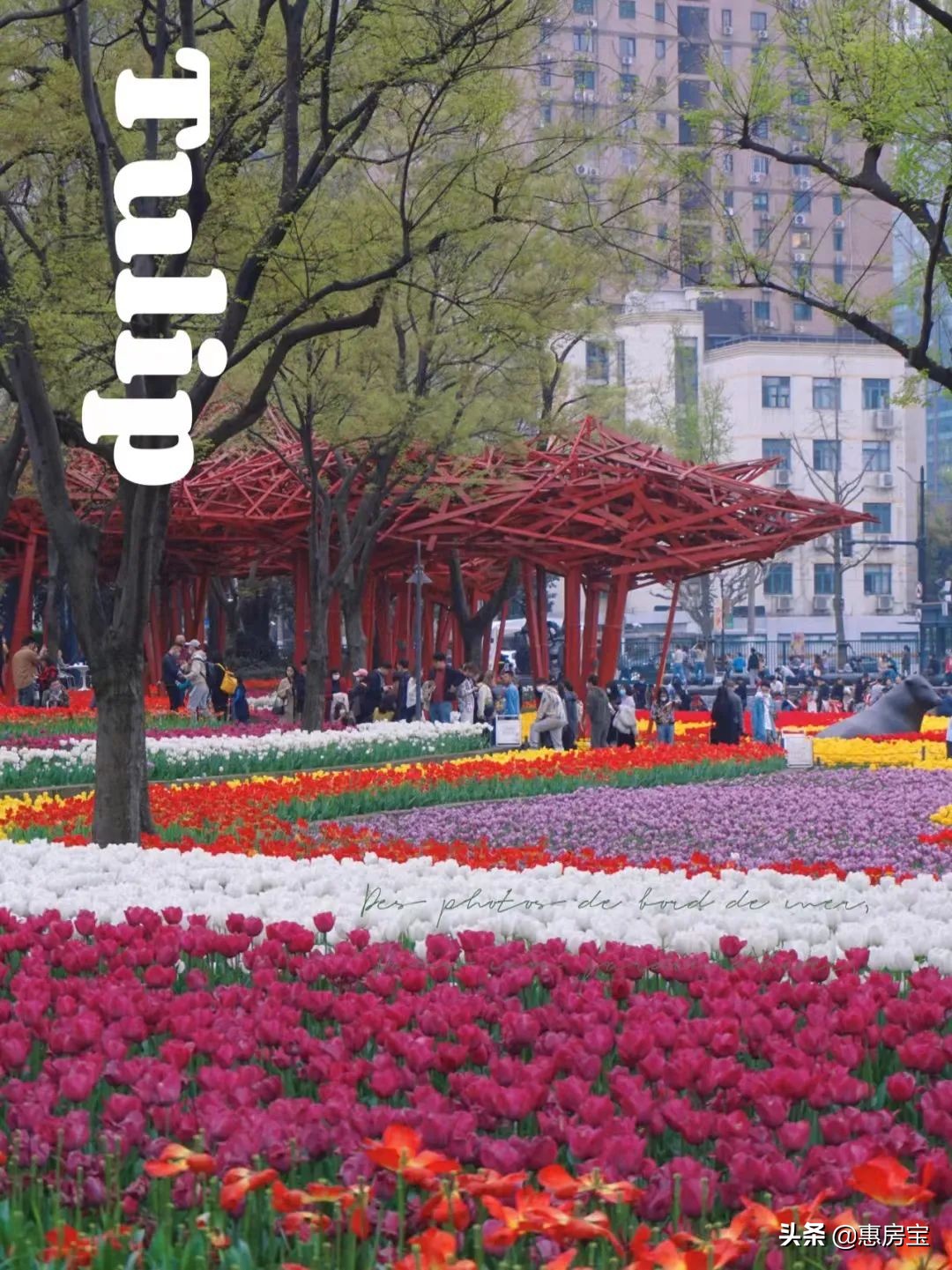 上海公园免费,上海免费公园排行