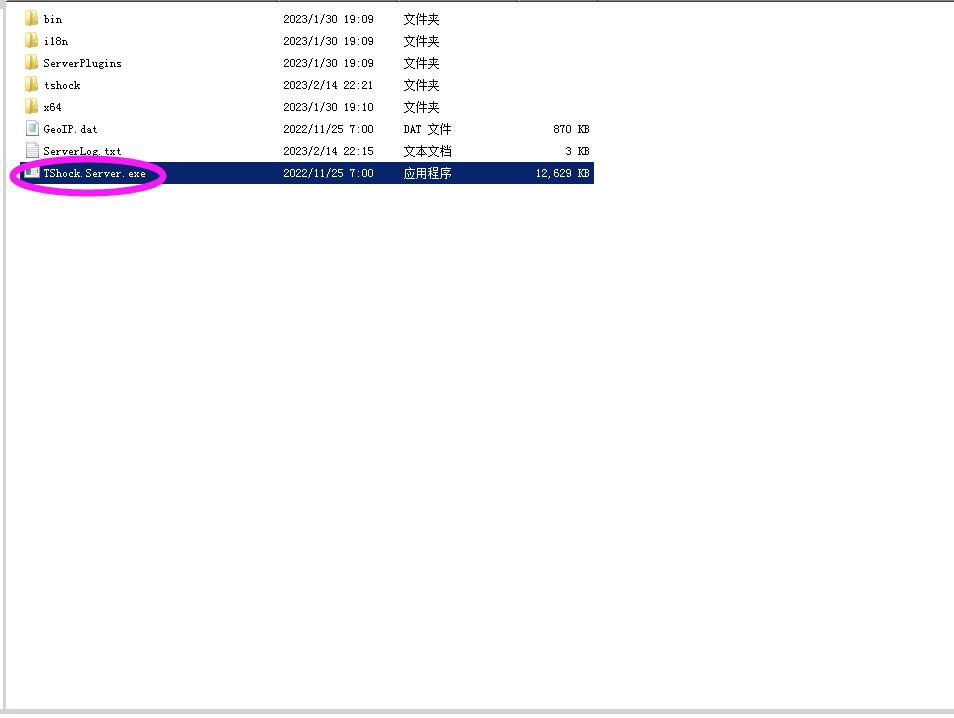 泰拉瑞亚搭建服务器,泰拉瑞亚怎么搭建服务器