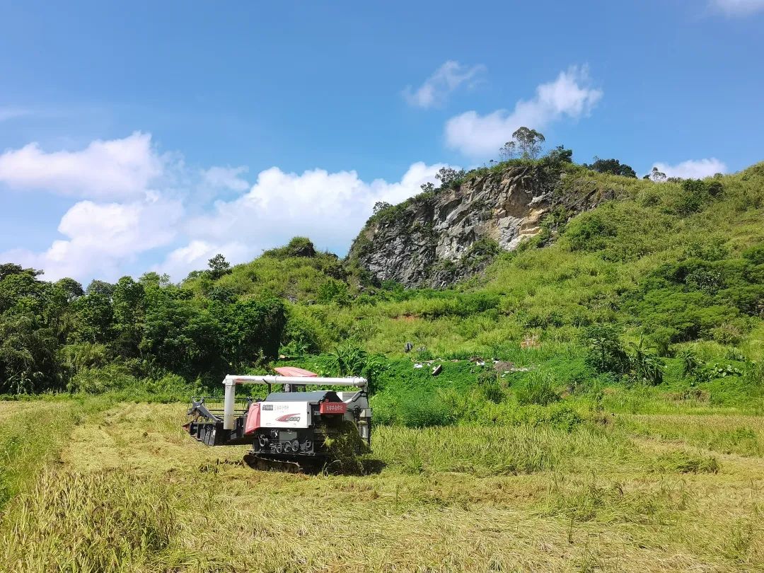 智库观察丨新兴县天堂镇如何从“农业大镇”变“农业强镇”