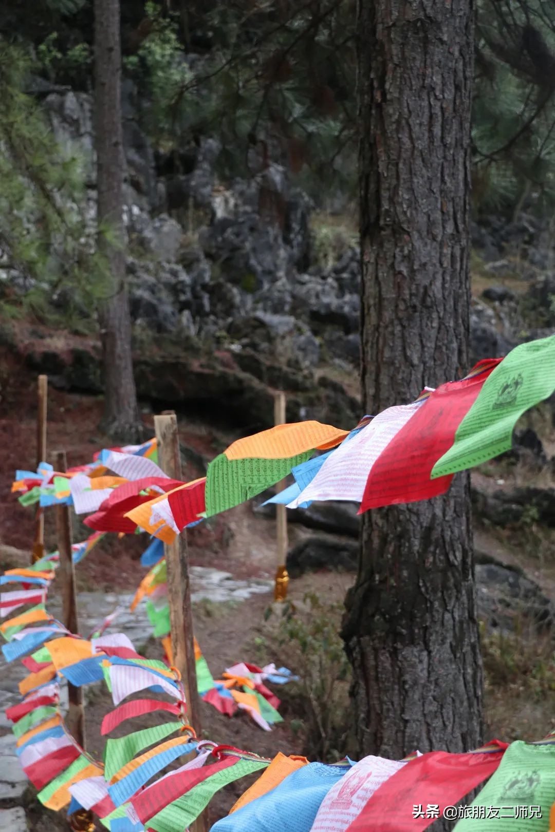 清远阳山二天一夜旅游景点攻略,广州自驾阳山旅游攻略图