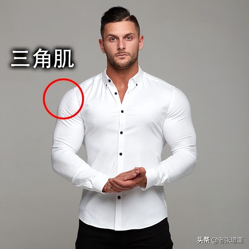 瘦子增重怎么练背部,瘦子增重增肌训练教程哑铃