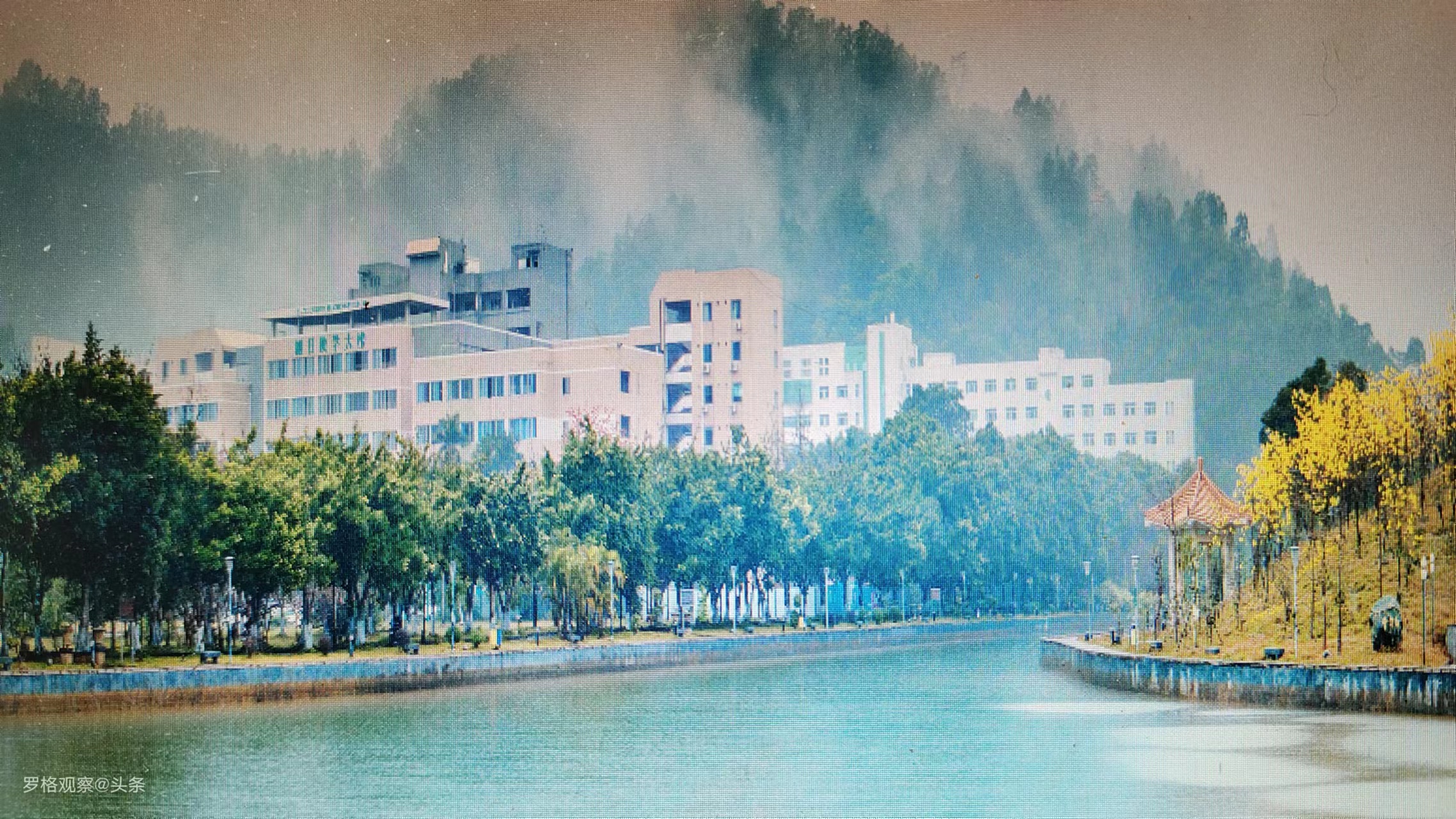 惠州学院的毕业生就业情况,惠州学院2017毕业生