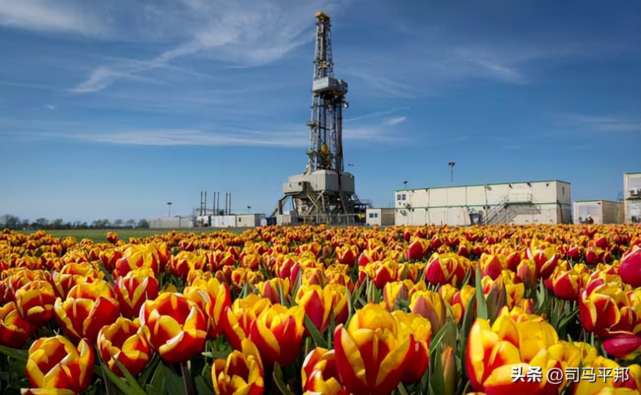 荷兰拒绝美国要求,荷兰拒绝出口光刻机吗