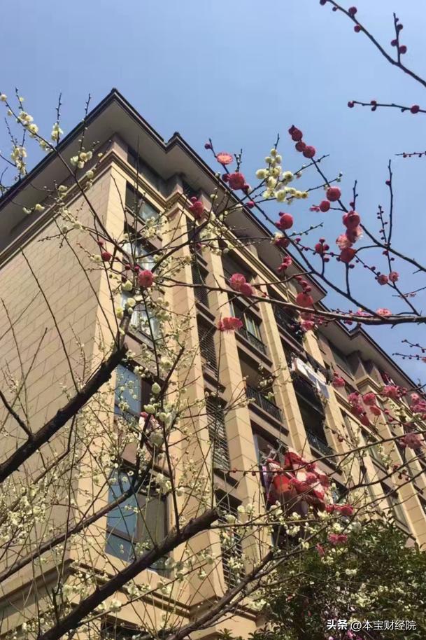 我和新城的故事,新城物业理念