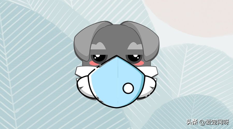 治狗狗拉稀的药,狗狗拉稀怎么办可以吃鱼肝油吗