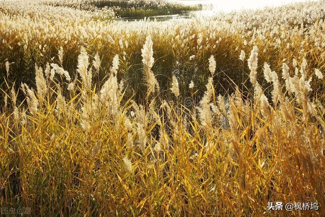 预感不好的事情真的会发生,预感有不好的事情发生