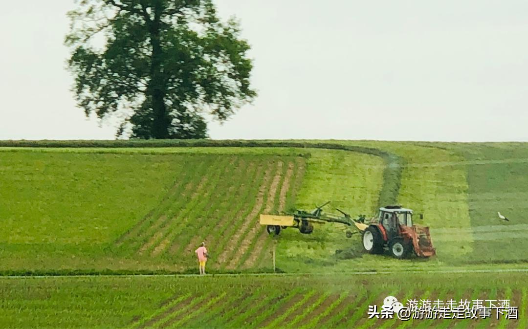 欧洲瑞士旅游线路,卢塞恩金色山口观光火车