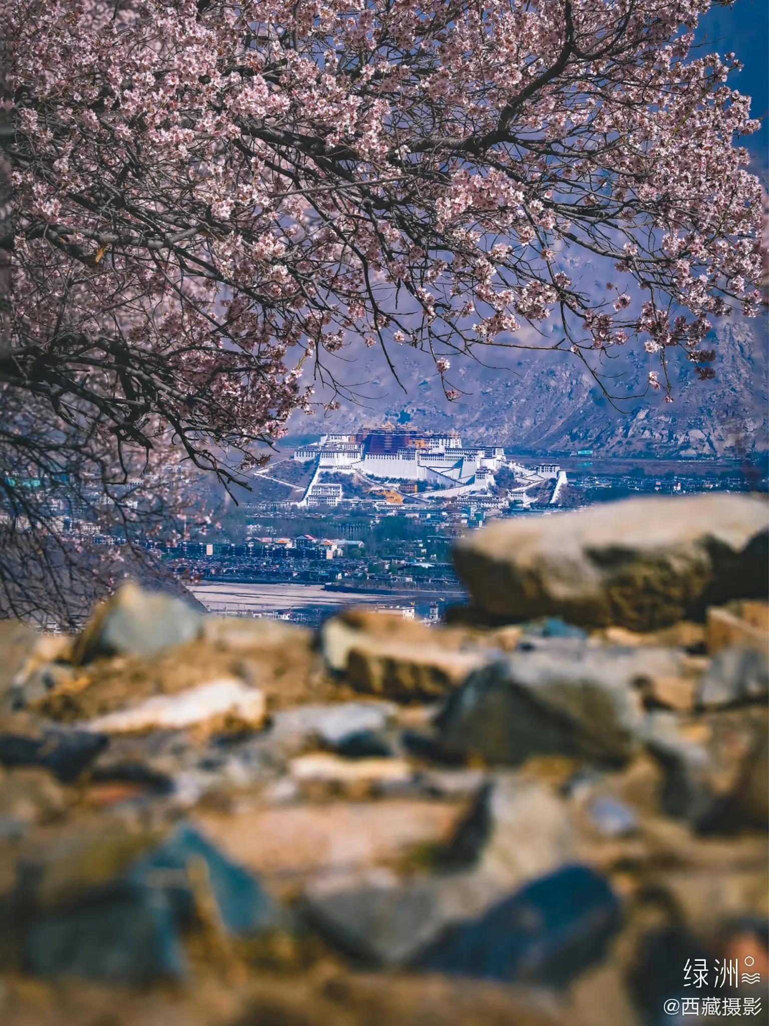 藏西攻略,藏西有什么好玩的