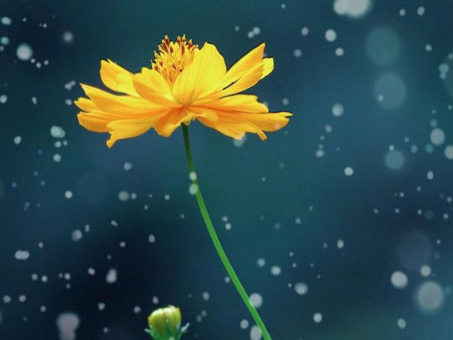 天蝎座男生谈恋爱不爱搭理女朋友,为什么和天蝎座表白后不搭理我了