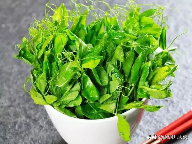 中国公认可以吃的六种叶子,各地能吃的叶子