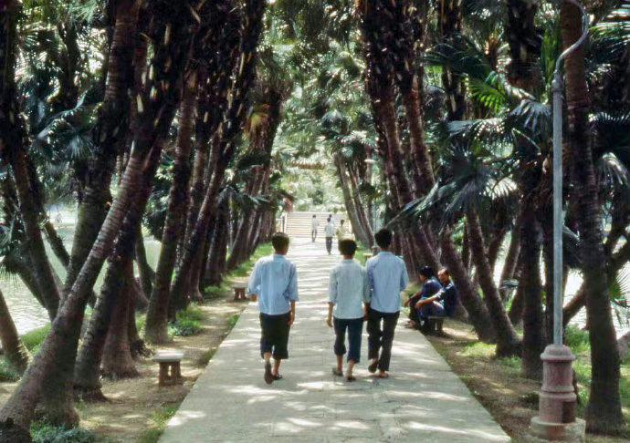 80年代消失的老物件跟食品,80年代农村夏天用的老物件