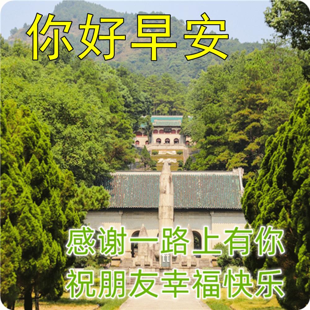 最新漂亮早上好问候图片鲜花带字,2023早上好问候语