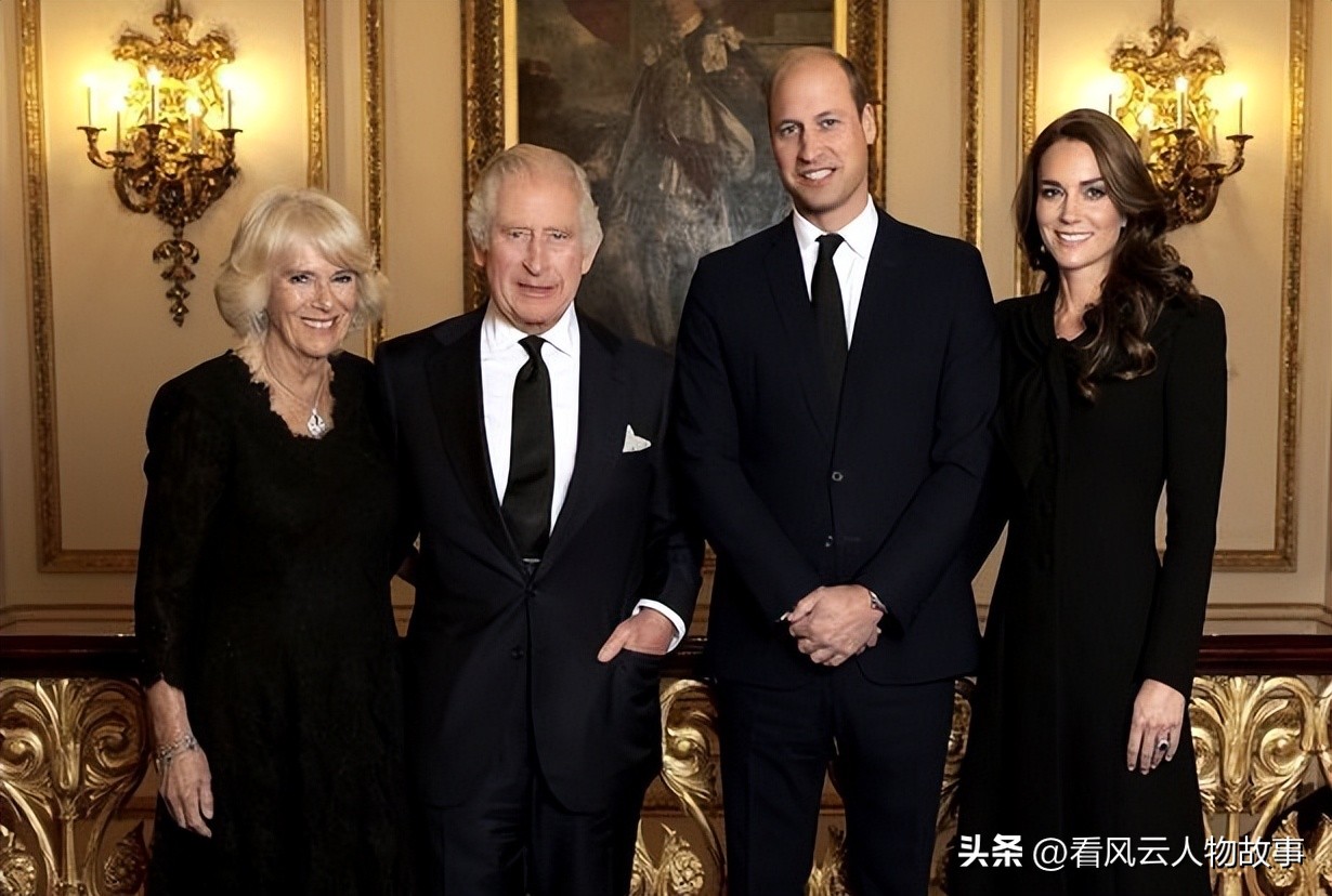 凯特与哈里相处,凯特和哈里的矛盾