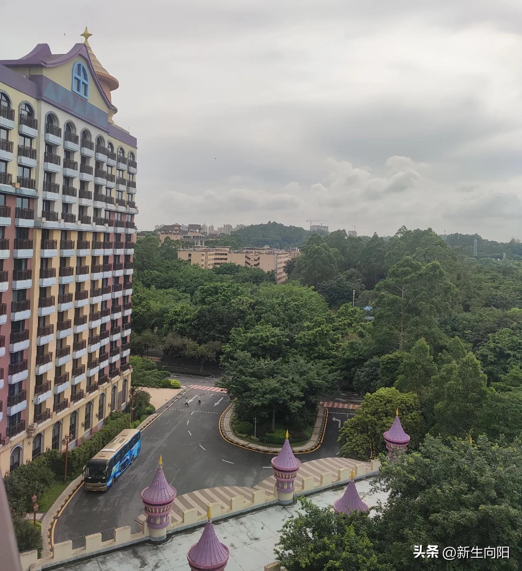 长隆野生动物园两大一小,长隆野生动物园一家三口