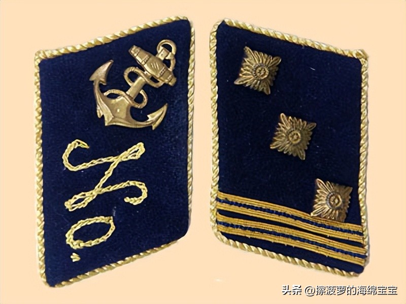 纳粹冲锋队用的什么枪,纳粹德军军衔图解