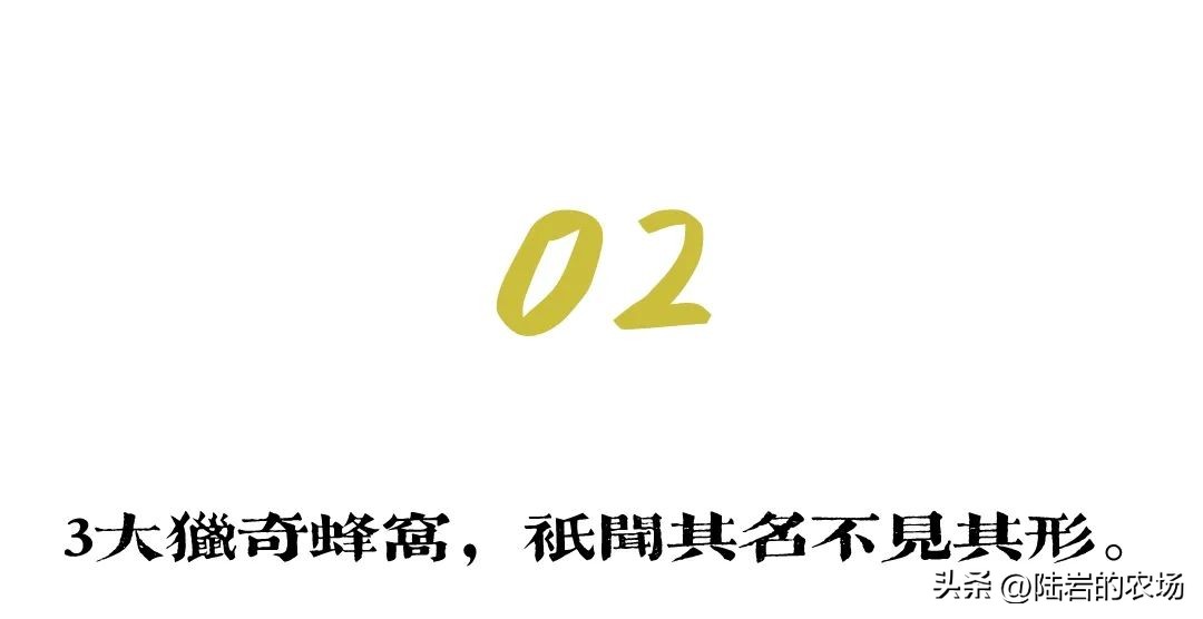 盘点市面五种常见蜂巢