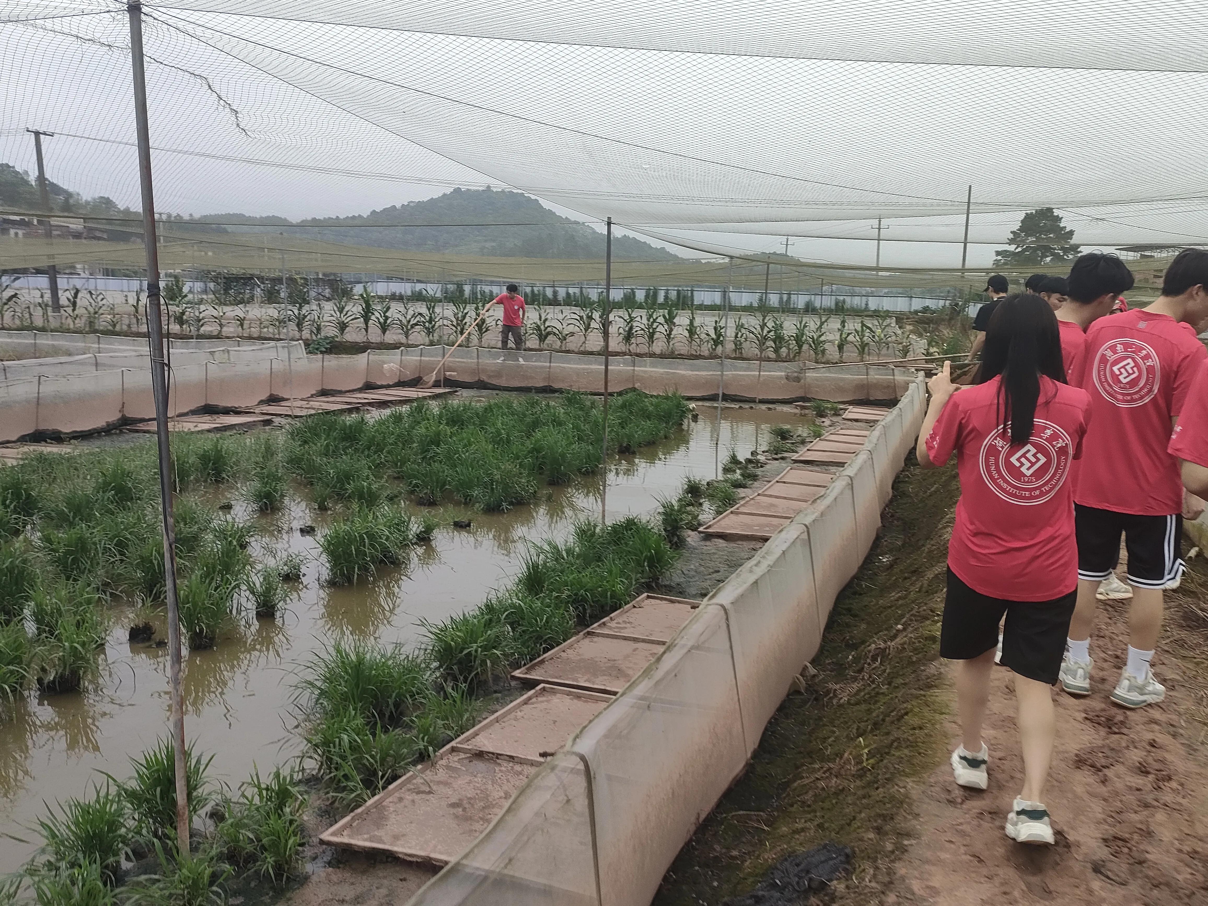 三下乡生态文明建设专题宣讲,暑期三下乡乡村文明建设宣传