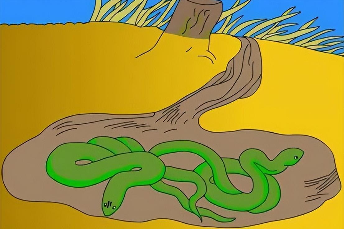 蛇最怕什么农村怎么防蛇,蛇最怕什么东西驱赶