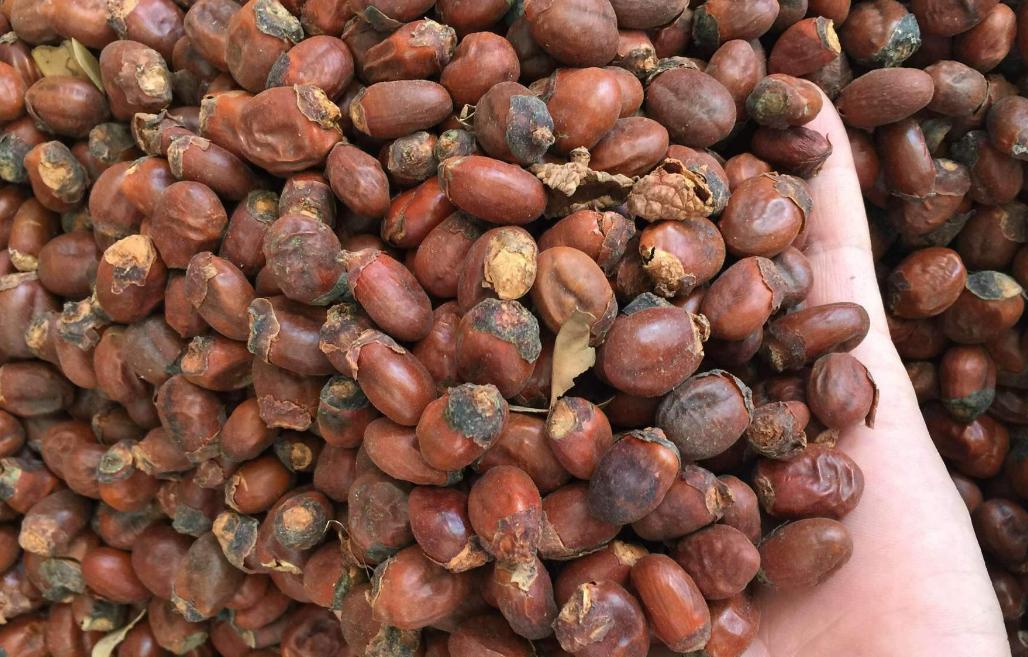 卵巢囊肿金匮要略方子,卵巢囊肿和气血