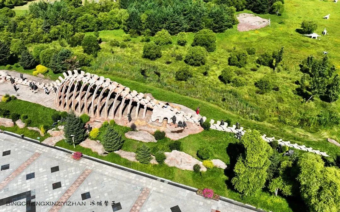 黑龙江恐龙之乡嘉荫县,中俄边境伊春市嘉荫县