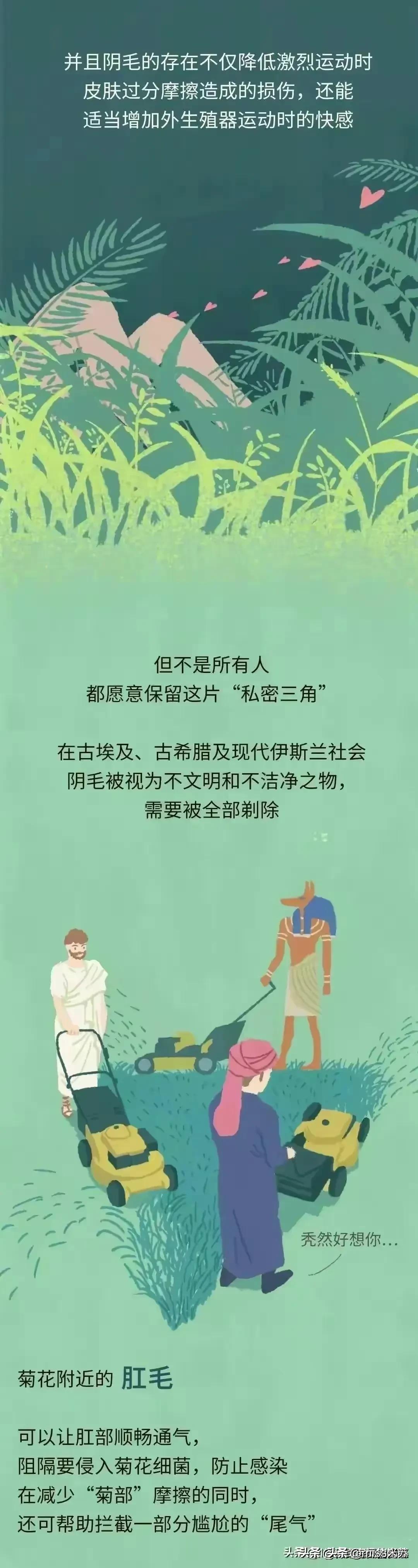 人类为何没有浓密的体毛,人类的体毛作用