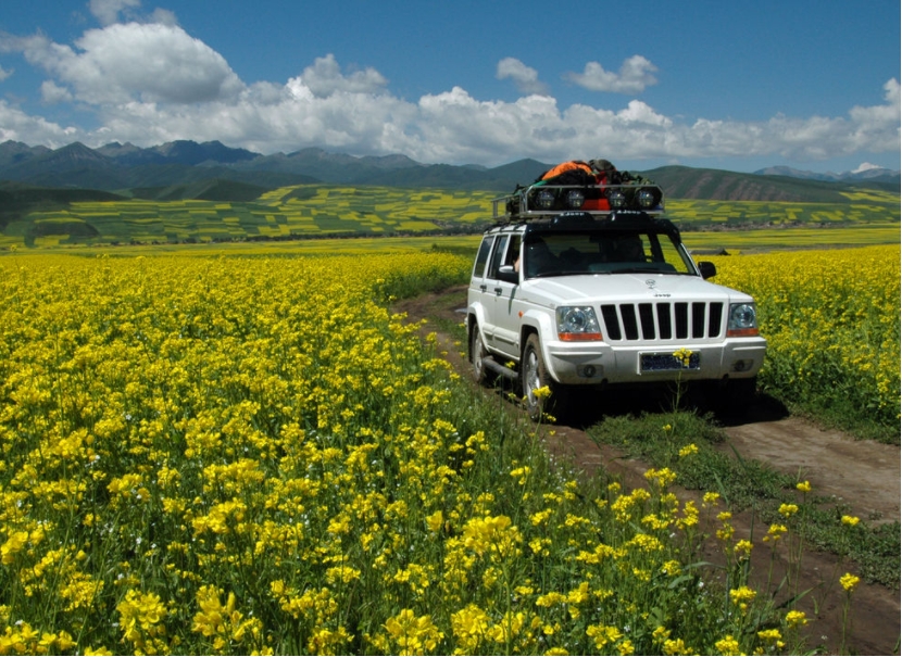百度和高德地图跑高速哪个更准确,百度地图和高德哪个适合新手