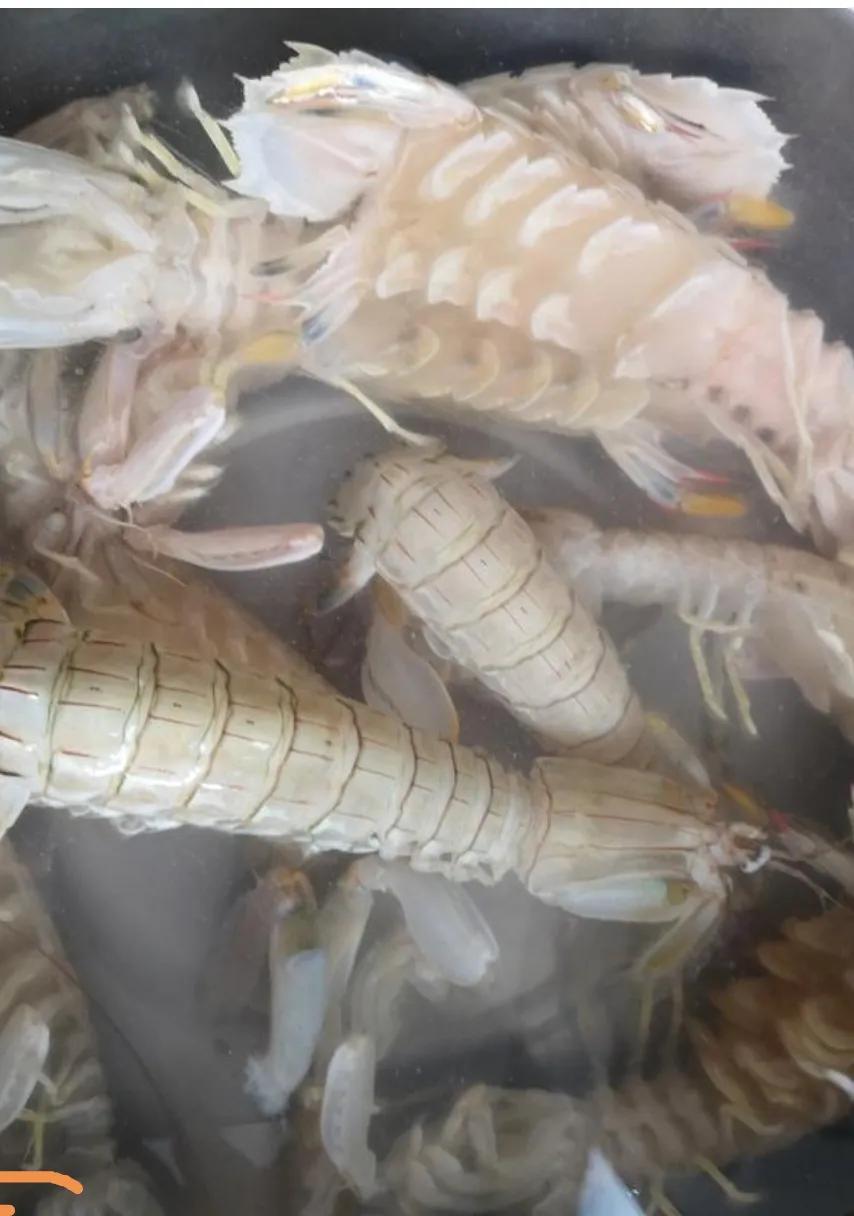 家里做椒盐皮皮虾怎么样才酥脆,家庭版的椒盐皮皮虾怎么做