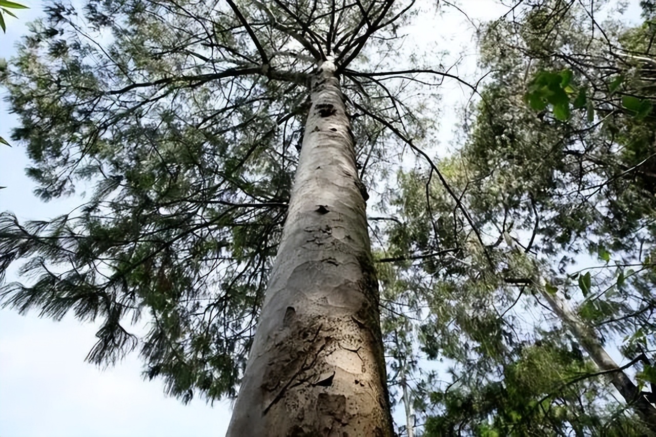 昆明七彩云南怎么样,七彩云南避暑家园
