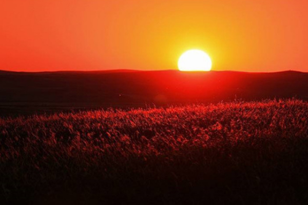 李商隐有争议诗,李商隐夕阳无限好只是近黄昏解释