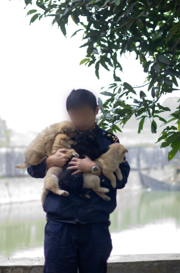 海关属于什么单位,广东海关公务员报考条件