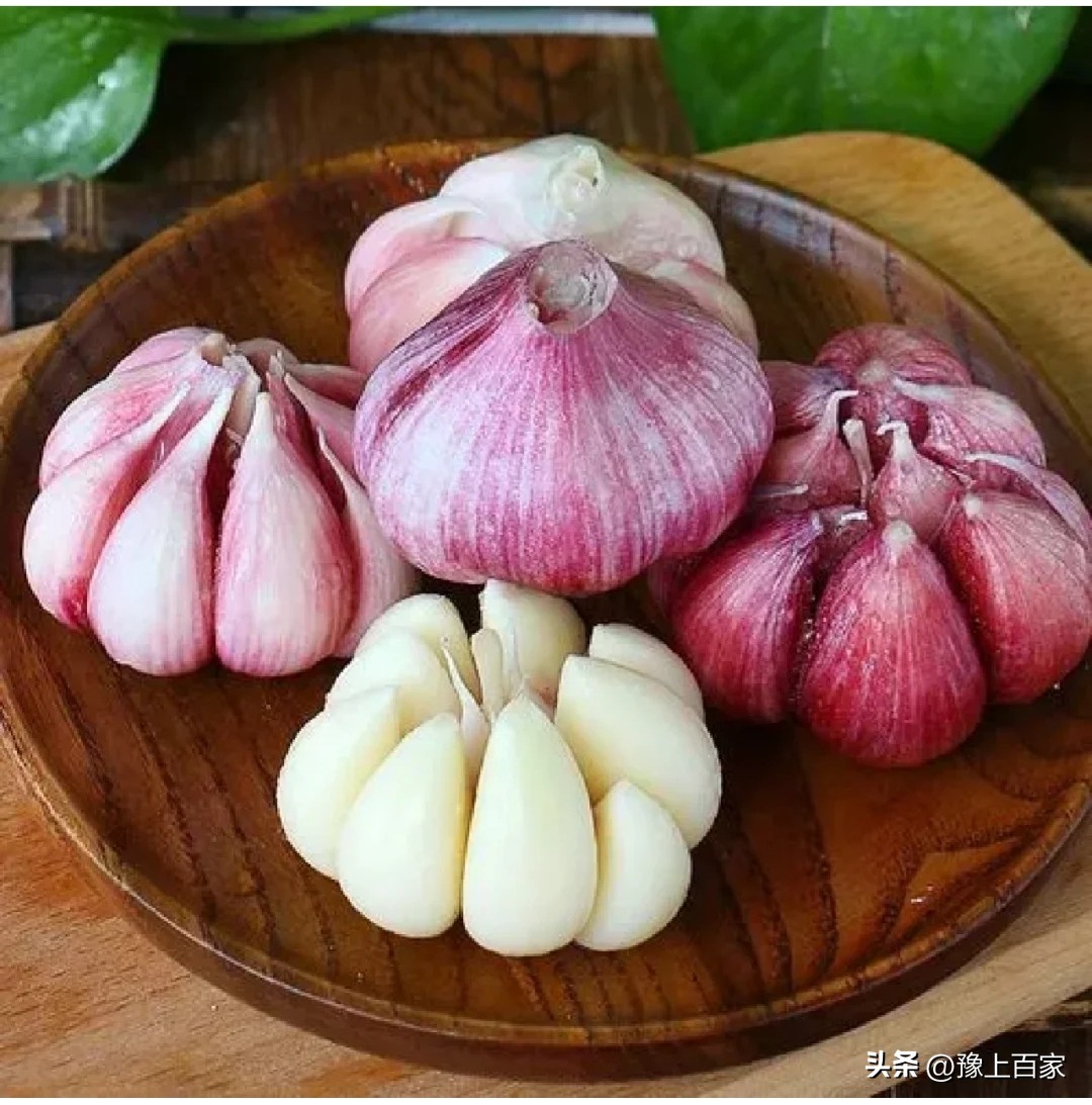 独头大蒜和普通大蒜的区别,脖子上套大蒜有什么科学依据吗