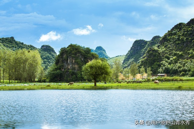 赌博人生合集,赌博人性