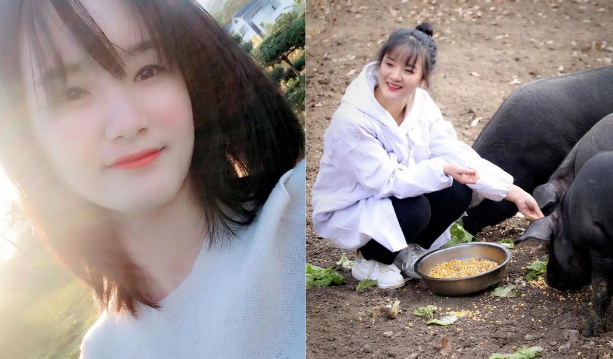 养猪年薪最高200万！牧原、新希望、正邦等企业高薪聘抢大学生