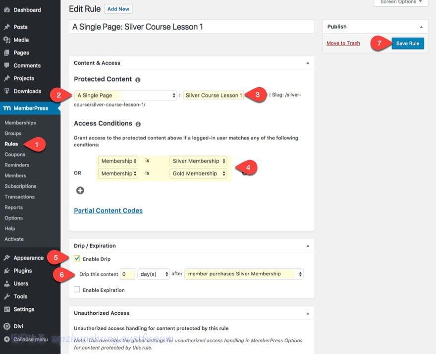 divi使用教程,divi网站搭建